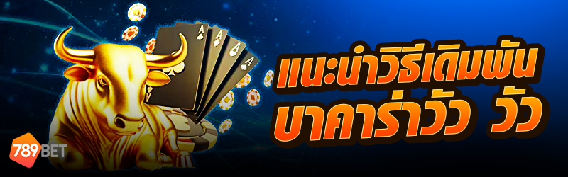 แนะนำวิธีเดิมพันบาคาร่าวัว วัว